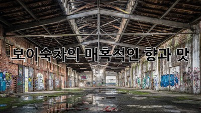 보이숙차의 매혹적인 향과 맛