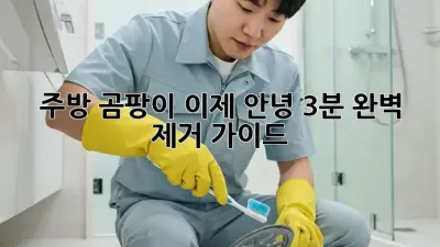 주방 곰팡이, 이제 안녕! 3분 완벽 제거 가이드